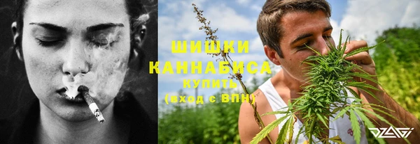 стаф Абаза